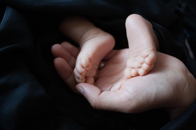Familien vælger aktiviteter til lyse eftermiddage